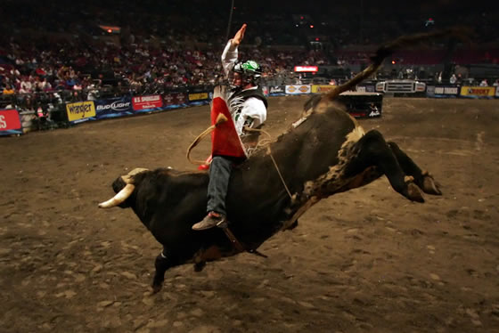 20070108bulls.jpg