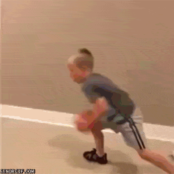 giphy.gif