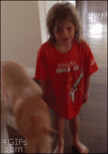 tumblr_n63tni3UL91r8weq9o1_250.gif