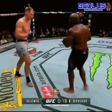 giphy.gif