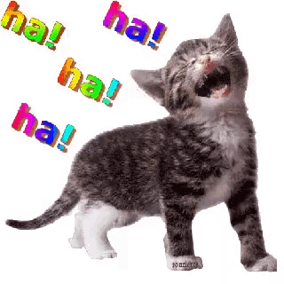 tenor.gif