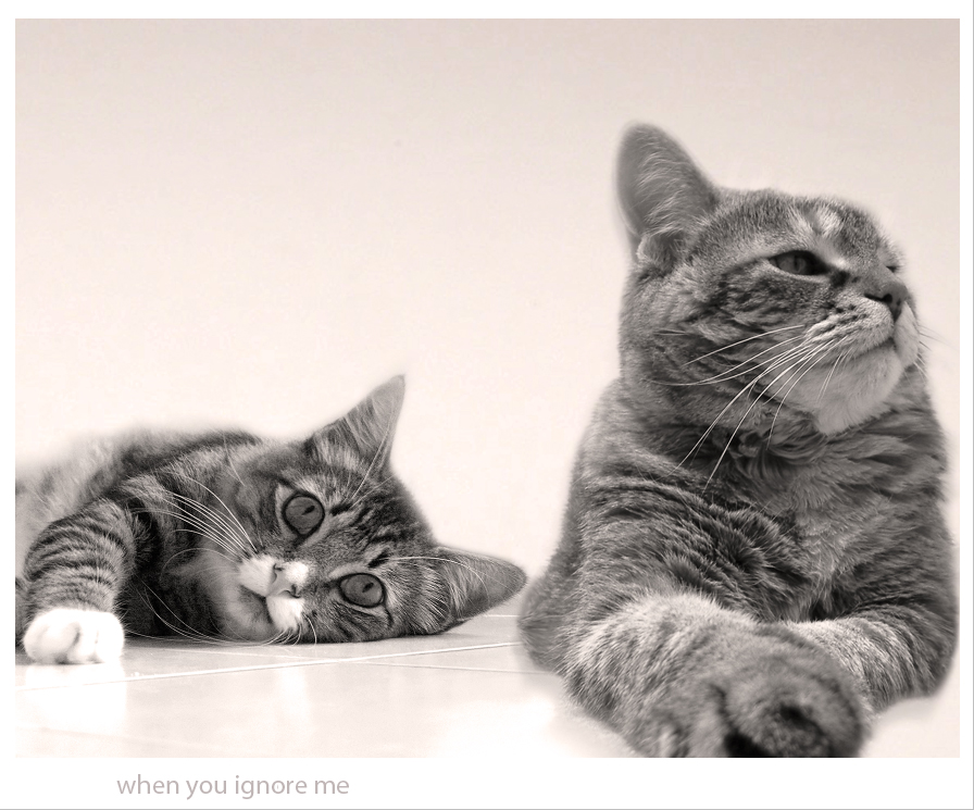 ignore_me_by_adriano10.jpg
