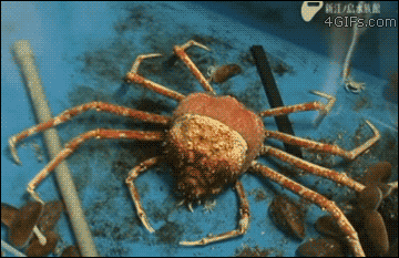 tumblr_mwo9sn52EH1qdlh1io1_400.gif