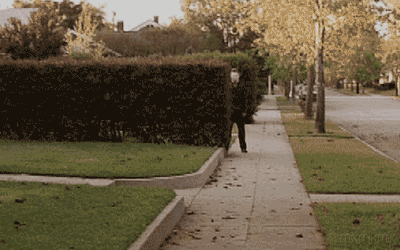 tumblr_n43vhscjzX1rr8qsxo1_400.gif