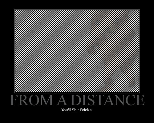 tumblr_lkr3iii4a31qdom5qo1_500.jpg