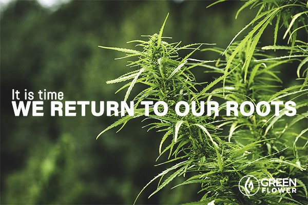 15-Mind-Blowing-Ways-Hemp-Can-Save-the-World-FB1.jpg
