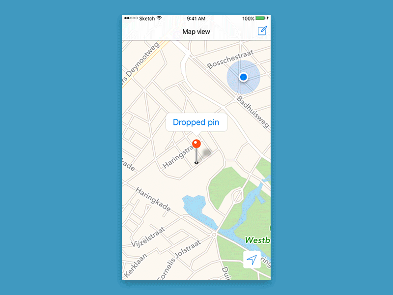 wsi-imageoptim-drop-pin-maps.gif