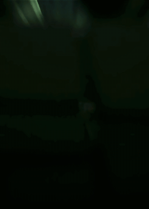 tumblr_n93mlj9A1n1rpfx57o2_r1_500.gif