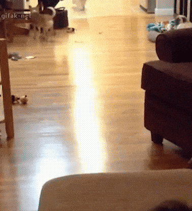 tumblr_o1bd3ip8En1tyncywo1_400.gif