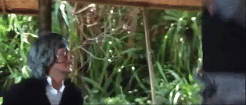 tumblr_p6rjpvr6mn1v6w3juo1_500.gif