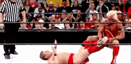 ric-flair-figure4leg-lock.gif