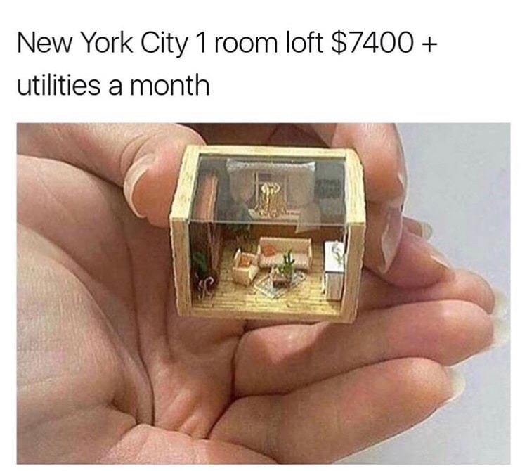 tumblr_oqb4g7e98i1v4qe09o1_1280.jpg