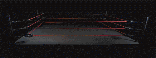 2vjq0s4.gif