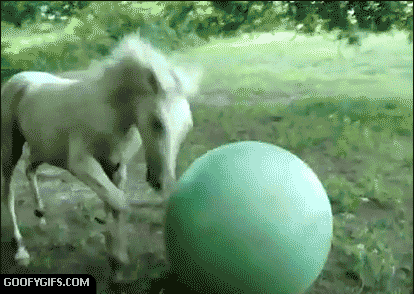 havingaball.gif