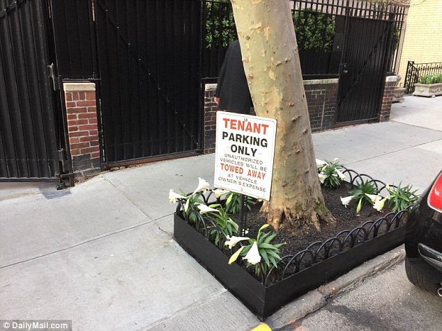 madonnaannoyingparking13.jpg
