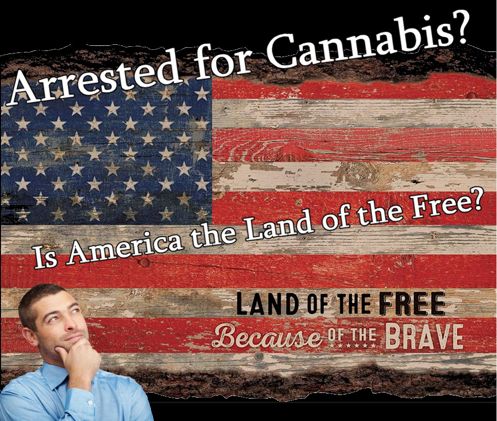 3743_oRYm_bustedforweed.jpg