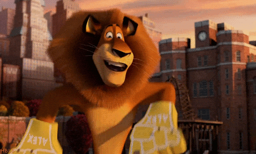 YfjAhztmIswne.gif