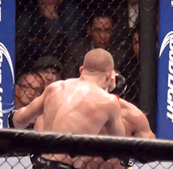 tumblr_mweqcz57mN1qaa8d1o3_r1_250.gif