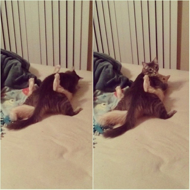 tumblr_mynfwkGKoS1r0yir1o1_1280.jpg