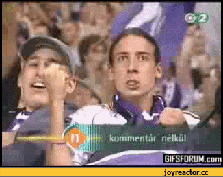 птица-живность-арт-красивые-картинки-923610.gif