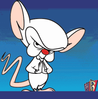 20071001-pinky20brain.gif