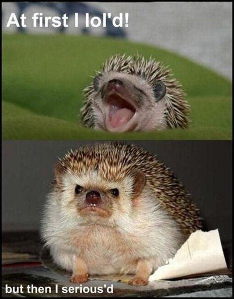 at-first-i-lold-but-then-i-seriousd-quote-1.jpg