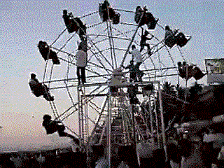 200361.gif