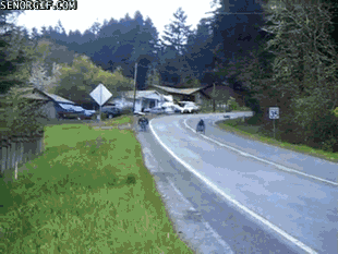 c8efa26432cbcae754476da14b5629d2.gif