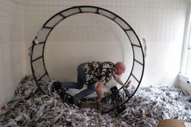 human-hamster-hoax.jpg