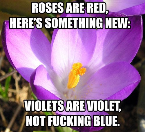 tumblr_mib35y9hKx1ql2603o1_500.jpg
