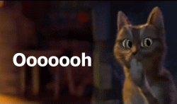 bda4d1e8a29c7a3021e757d35ee61851.gif