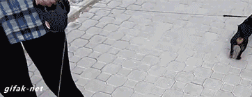 tumblr_otzja0htIb1vrbf4zo1_400.gif