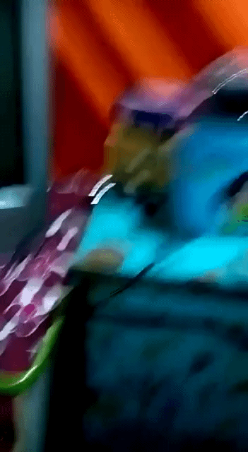 AISelect-20250601-183845-Firefox.gif