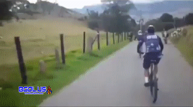 f.gif