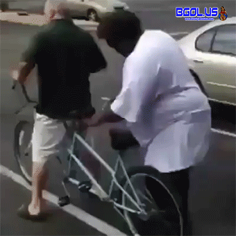 giphy.gif