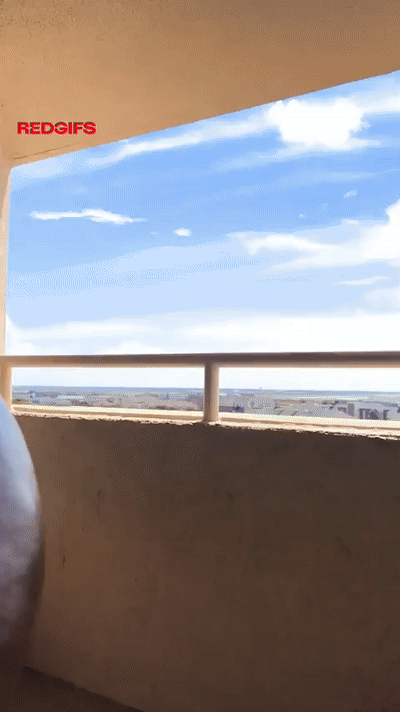 KAO005Q.gif