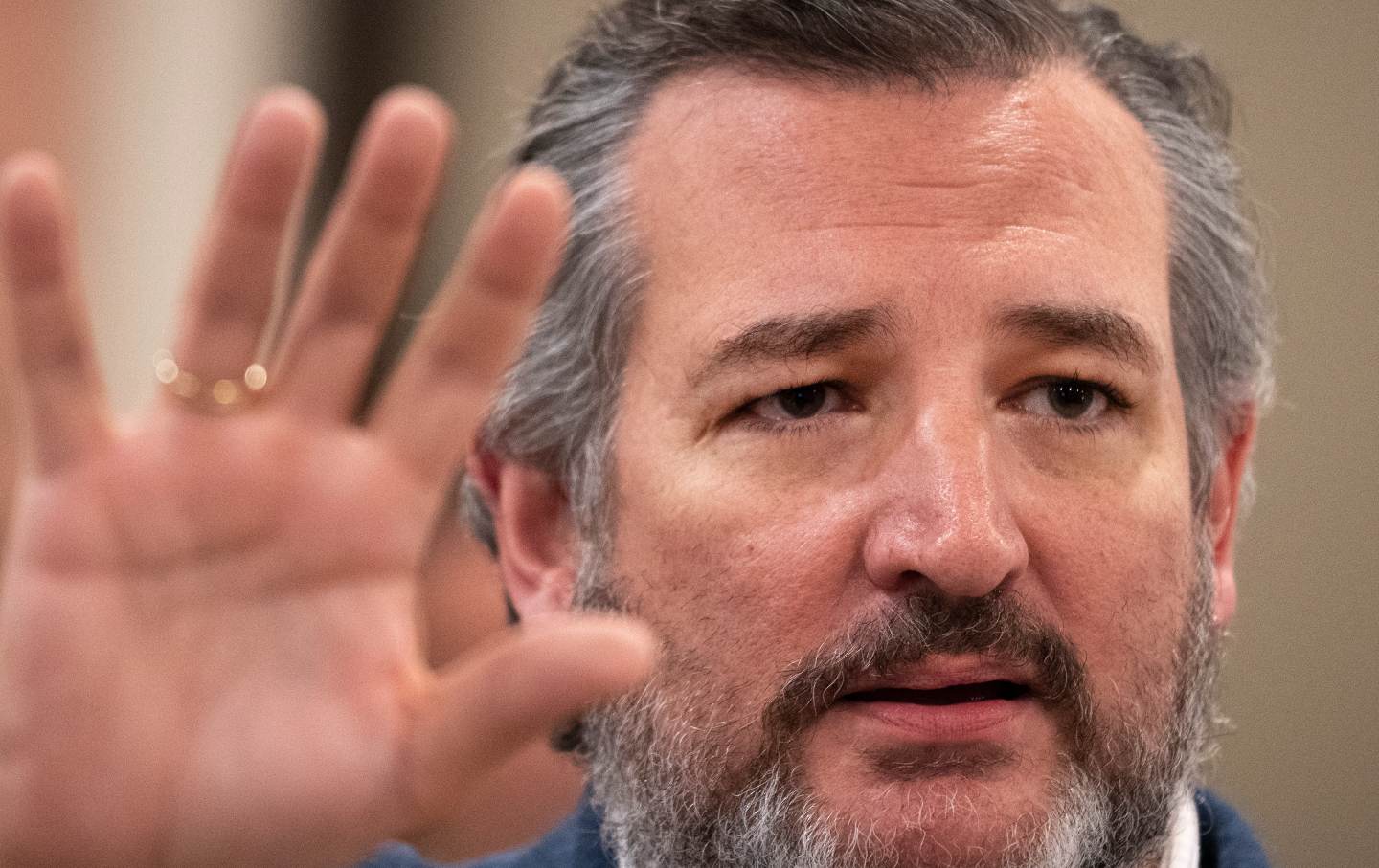 tedcruzheer.jpg