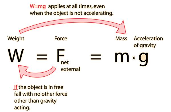 weightf.gif