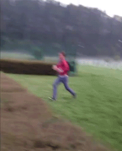 tumblr_mqz2k4Eim71r3gb3zo1_250.gif