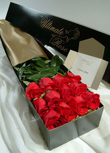 tumblr_nj1tb0nFDA1r3187no1_500.jpg