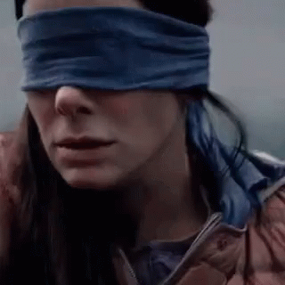bird-box.gif