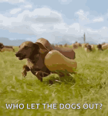 run-on-my-way.gif