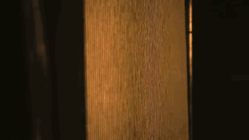 tumblr_mfauhhDt9d1rwadubo2_500.gif