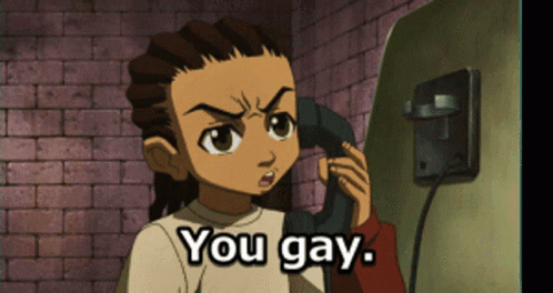 you-gay-boondocks.png