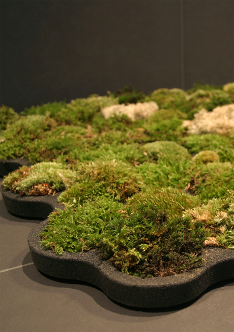 moss_carpet3.jpg