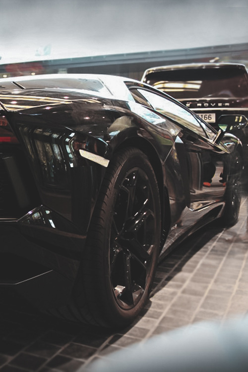 tumblr_n315zaTfAs1spgb6do1_500.jpg