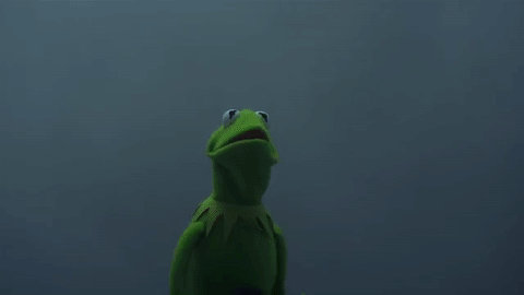tumblr_ogyddxCRJd1qjgjylo1_500.gif