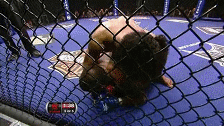 hendpet16_medium.gif