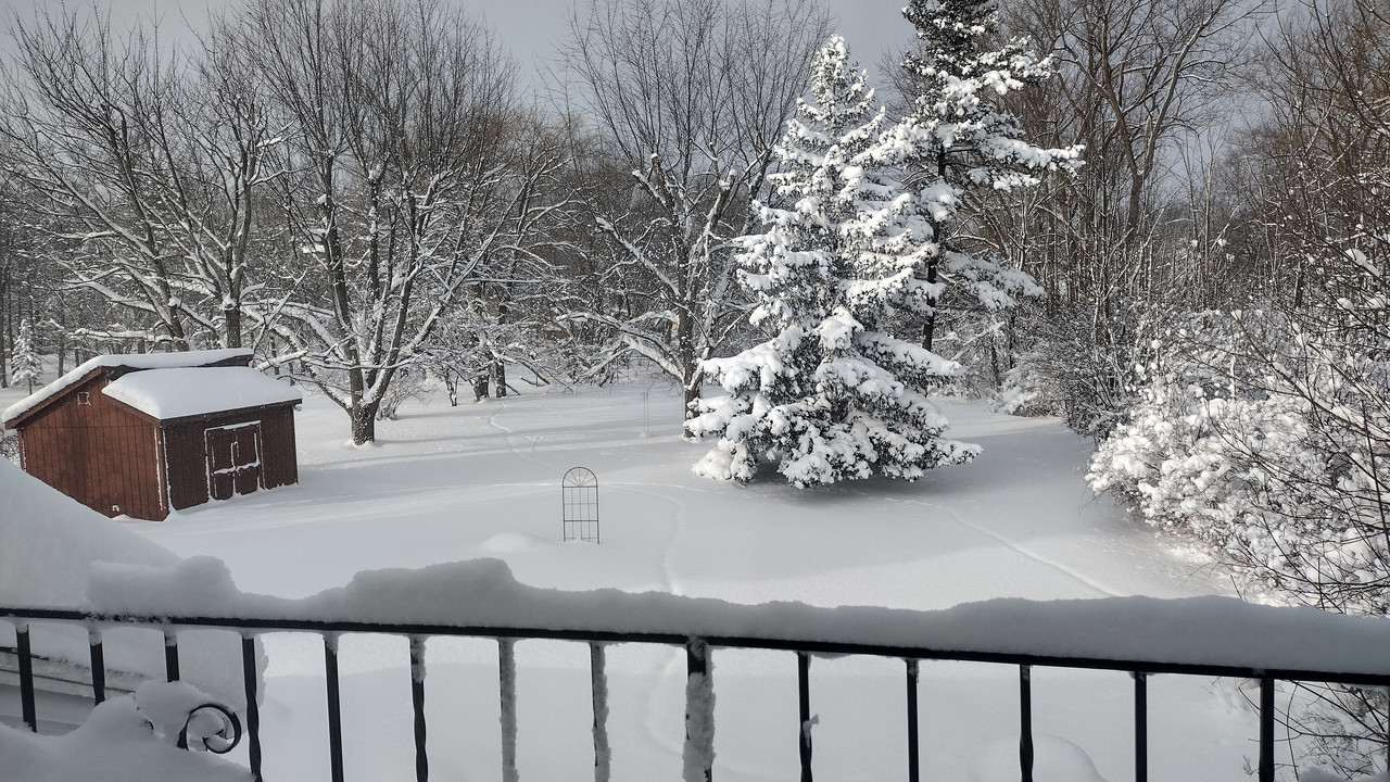 IMG-20240115-093418959-HDR.jpg