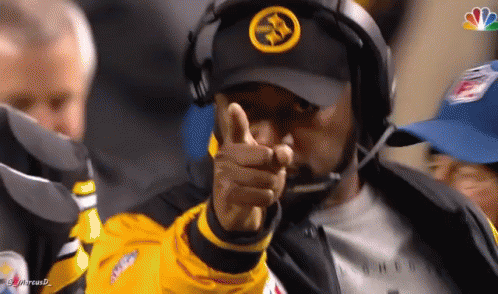 mike-tomlin-you.gif